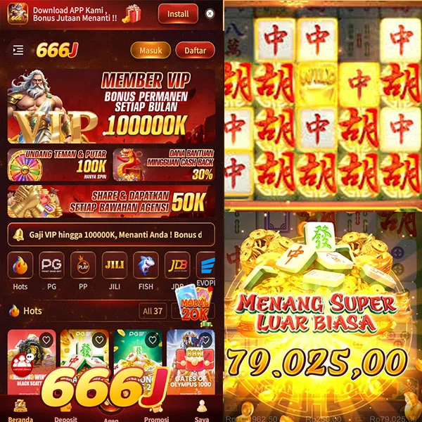 666j